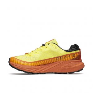 MERRELL AGILITY PEAK 5 GTX MEN - DAFFODIL - J068321